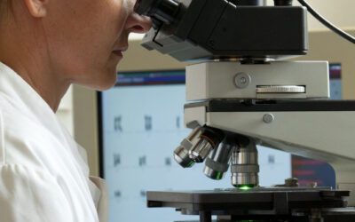 Forschungspreis 2024: Neue Perspektiven in der Hirntumorforschung